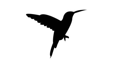 Ametist dağdaki değerli kuşu boğazladı. Siyah siluet tasarımı ve çizimi.. 