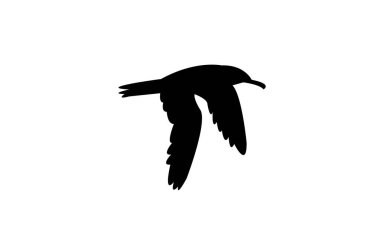 Uçan Amsterdam Albatros Kuşu Siluet Tasarım ve Vektör İllüstrasyonu. 