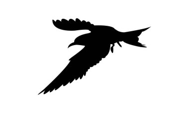 Uçan Antarktika deniz feneri Kuş Silueti Tasarım ve Vektör İllüstrasyonu. 