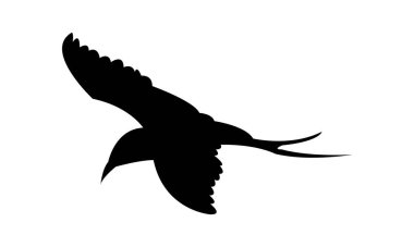 Uçan Antarktika deniz feneri Kuş Silueti Tasarım ve Vektör İllüstrasyonu. 