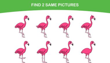 Şirin flamingo kuşu. Aynı iki resmi bul. Çocuklar için eğitici bir oyun. Çizgi film vektör illüstrasyonu