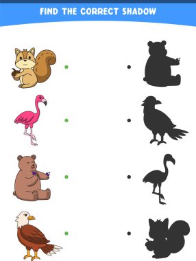 Doğru gölgeyi bulma vektör çizimi vahşi hayvanlar sincap flamingo ayı basılabilir kartal