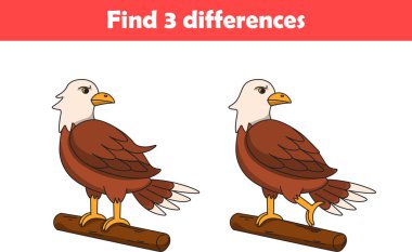 Çocuklar için eğitim oyunu iki kartal hayvan çizgi filmi arasında üç fark buluyor. Vektör illüstrasyonu