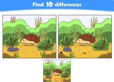 Komik çizgi film kirpisi. 10 farklılık bul. Çocuk Eğitim Oyunları. Çizgi film vektör illüstrasyonu