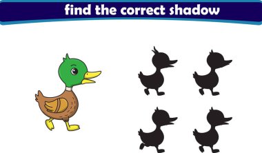 Komik çizgi film küçük ördek. Doğru gölgeyi bul. Çocuk Eğitim Oyunları. Çizgi film vektör illüstrasyonu