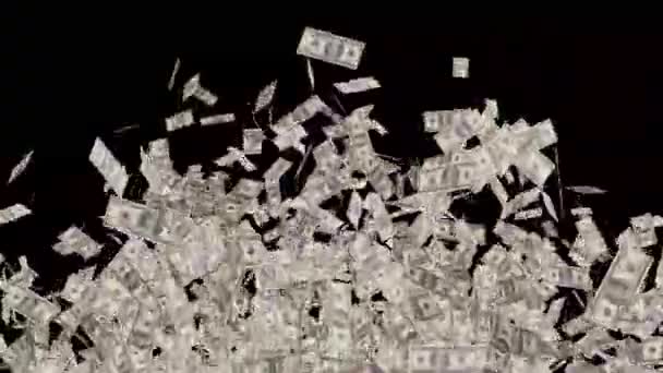 Dollars Money Transition Template Stock Video