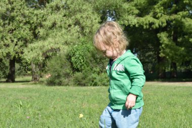 Meraklı küçük çocuk güneşli bir parkta sarı çiçeklerin arasında yürüyor.