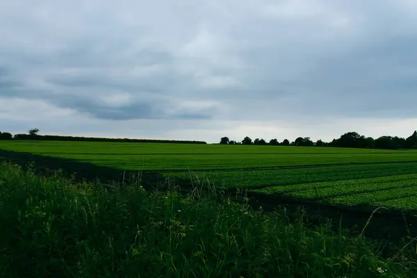 Eine Atemberaubende Landschaftsaufnahme Der Englischen Landschaft Vom Kanal Aus Gesehen — Stockfoto