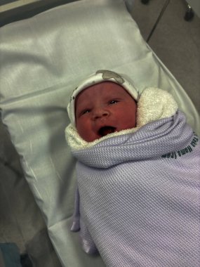 Yeni doğmuş bir erkek bebeğin güzel bir portresi. Bu fotoğraf doğumdan sadece saatler sonra çekildi.