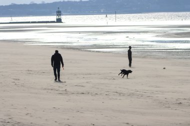 Soğuk ve kasvetli bir günde bir adam köpeğini sahilde gezdirir.