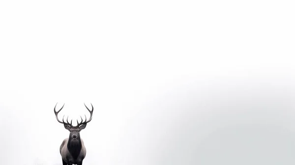 白地に鹿の頭 — ストック写真