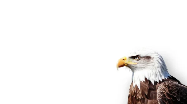 Weißer Adlerkopf Isoliert Auf Hellem Hintergrund — Stockfoto