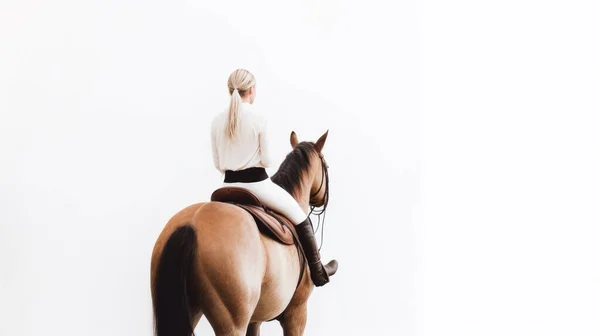 Ung Kvinna Med Häst Vit Bakgrund — Stockfoto