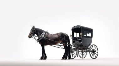 Beyaz arka planda at binicisi