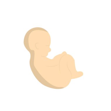 vektör hamile bebek rahim illüstrasyonu
