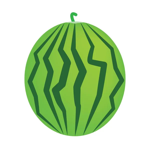 Sandía Frutas Verde Vector Ilustración — Vector de stock