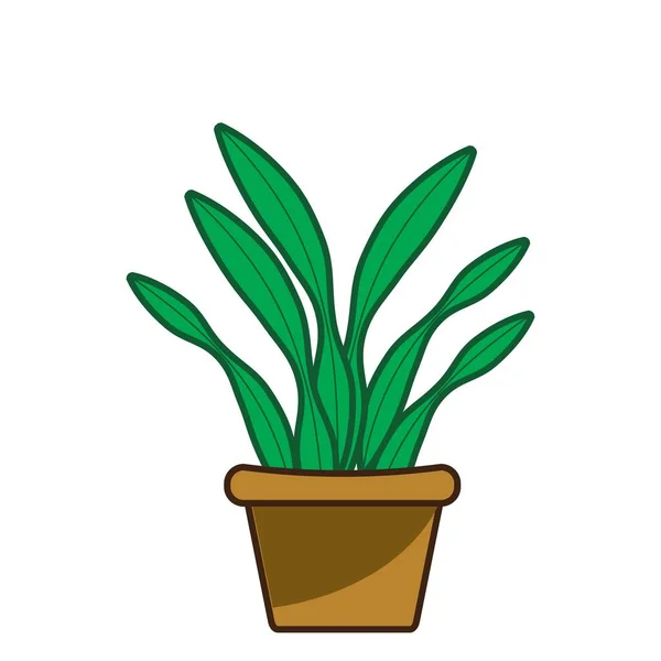 Fiore Verde Lingua Pianta Erba Decorativa Vaso Vettoriale Illustrazione — Vettoriale Stock