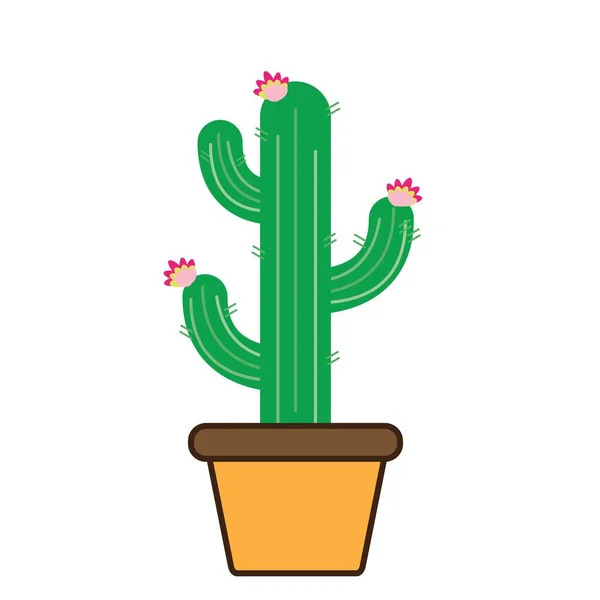 Desert Cactus Starting Bloom Pot Decorative Flowers Vector Illustration — Stock Vector
