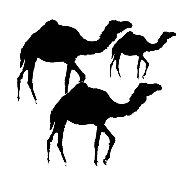 Eid Adha Арабский Верблюд Черно Белый Силуэт Векторной Иллюстрации — стоковый вектор