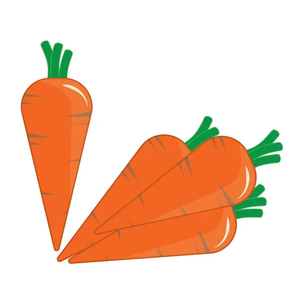Zanahoria Fresca Naranja Vegetal Vector Conejo Alimentos — Vector de stock