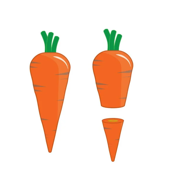 Frische Orange Karotte Gemüse Vektor Kaninchenfutter — Stockvektor