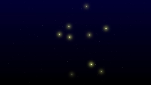 Aquarius Animasyon Yıldızı Kova Burcu Kara Gece Gökyüzünde Yıldız — Stok video
