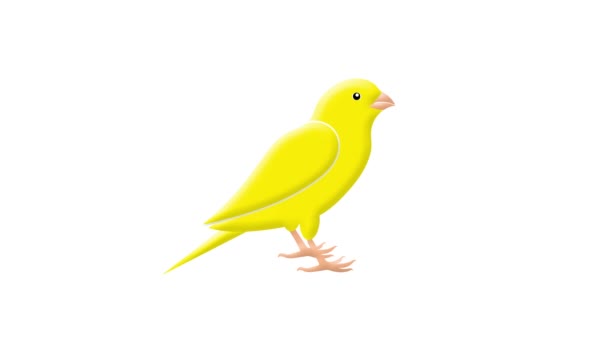 Twitter Canário Chilrear Cantar Greenscreen Animação Amarelo Pássaro Chilrear Pássaro — Vídeo de Stock