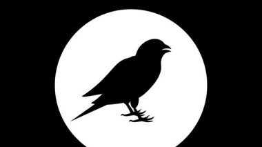 Kuşlar cıvıldıyor kanaryalar Canlandırılmış yeşil ekran silueti