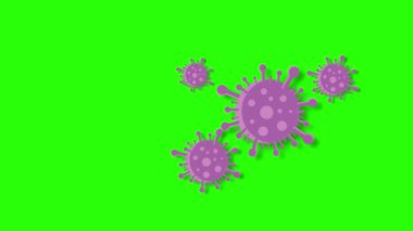 Nipah virüsü 4k animasyon yarasa virüsü Hint virüsü yeşil ekran pankart mor virüs arka planı