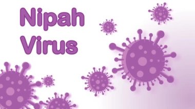 Nipah virüsü 4k animasyon yarasa virüsü Hint virüsü yeşil ekran pankart mor virüs arka planı