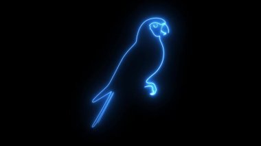 Papağanlar kuş neon animasyon papağanlar neon renk 4k döngüsü