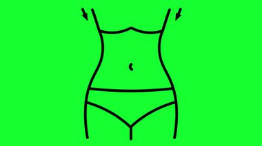 İnce kadın vücut şekli animasyon şişman kadın vücut şekli şişman vücut şekli zayıf ideal kadın vücudu şekli 4K simgesi yeşil ekran