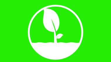 % 100 doğal organik ürün ikonu canlandırılmış ürün ikonu Vejetaryen doğal organik ürün izole edilmiş yeşil ekran 4k