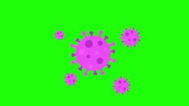 Virüs bakteri simgesi canlandırılmış simge virüs bakterisi ortaya çıkar ve croma 4k döngüsünü hareket ettirir