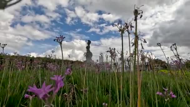 瓜达拉哈拉哈利斯科州格洛里塔水源矿点 装饰格洛里塔的植物的录像 墨西哥 — 图库视频影像