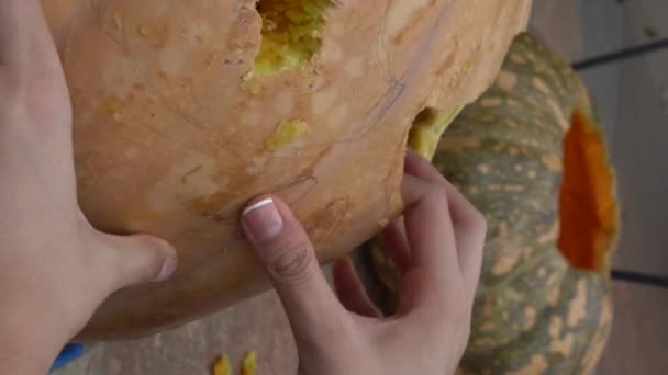 Citrouille Halloween Éclatante Isolée Sur Fond Blanc Mexique Guadalajara — Video