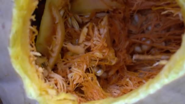 Kürbiskerne Orangenfleisch Den Kürbis Von Frischem Samen Reinigen Zubereitung Von — Stockvideo