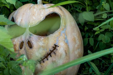 Balkabaklı Cadılar Bayramı tasarımı. Meksika Latin Amerika Guadalajara