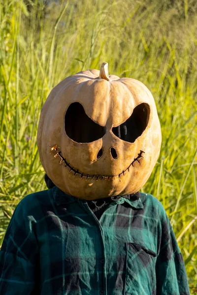 Young Woman Pumpkin Head Cutting Putting Face Day Dead Halloween — Stock Photo, Image