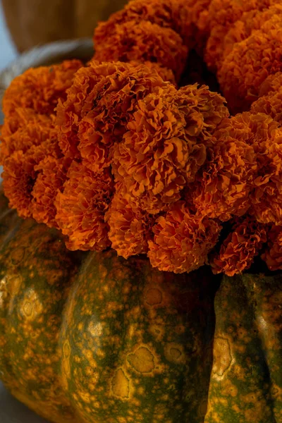 Decoración Con Flores Cempasuchil Calabaza Parte Superior Las Flores Color —  Fotos de Stock