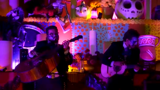 Mensen Die Traditionele Muziek Spelen Kleine Boten Drijvende Platforms Mexico — Stockvideo