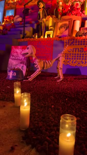 夜にはカラベラスが踊り満月の夜には死んだ祭りの日メキシコラテンアメリカ人 — ストック動画