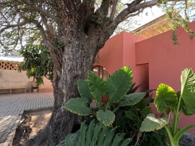 Bir köyde renkli bir Meksika modern mimari evi