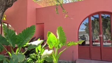 Pembe evin etrafında büyüyen güzel ağaçlar