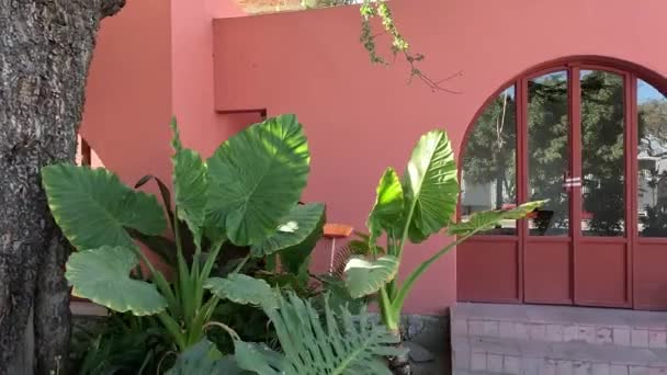 Buitenaanzicht Van Roze Huis Met Potplanten Bomen — Stockvideo