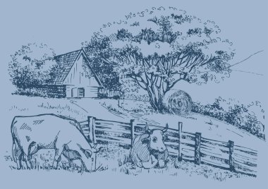 Küçük tepelerdeki yeşil çim tarlası. Çayır, alkali, kül suyu, çayır, kulplu, lea, otlak, çiftlik. Kırsal manzara manzarası kırsal çayırların manzarası. Vektör çizimi çizimi