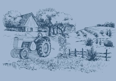 Küçük tepelerdeki yeşil çim tarlası. Çayır, alkali, kül suyu, çayır, kulplu, lea, otlak, çiftlik. Kırsal manzara manzarası kırsal çayırların manzarası. Vektör çizimi çizimi