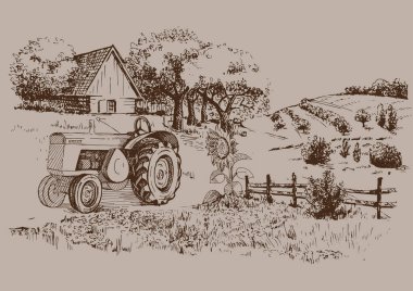 Küçük tepelerdeki yeşil çim tarlası. Çayır, alkali, kül suyu, çayır, kulplu, lea, otlak, çiftlik. Kırsal manzara manzarası kırsal çayırların manzarası. Vektör çizimi çizimi