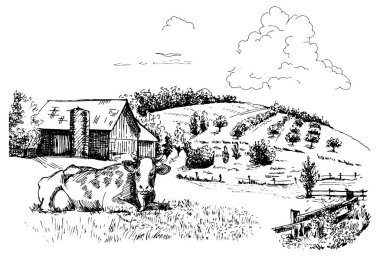 Küçük tepelerdeki yeşil çim tarlası. Çayır, alkali, kül suyu, çayır, kulplu, lea, otlak, çiftlik. Kırsal manzara manzarası kırsal çayırların manzarası. Vektör çizimi çizimi