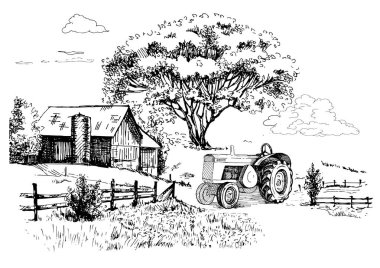 Küçük tepelerdeki yeşil çim tarlası. Çayır, alkali, kül suyu, çayır, kulplu, lea, otlak, çiftlik. Kırsal manzara manzarası kırsal çayırların manzarası. Vektör çizimi çizimi